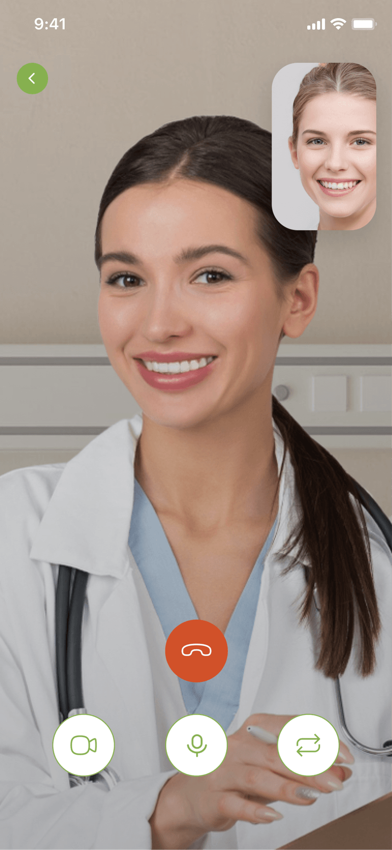 Video consultation with the veterinarian