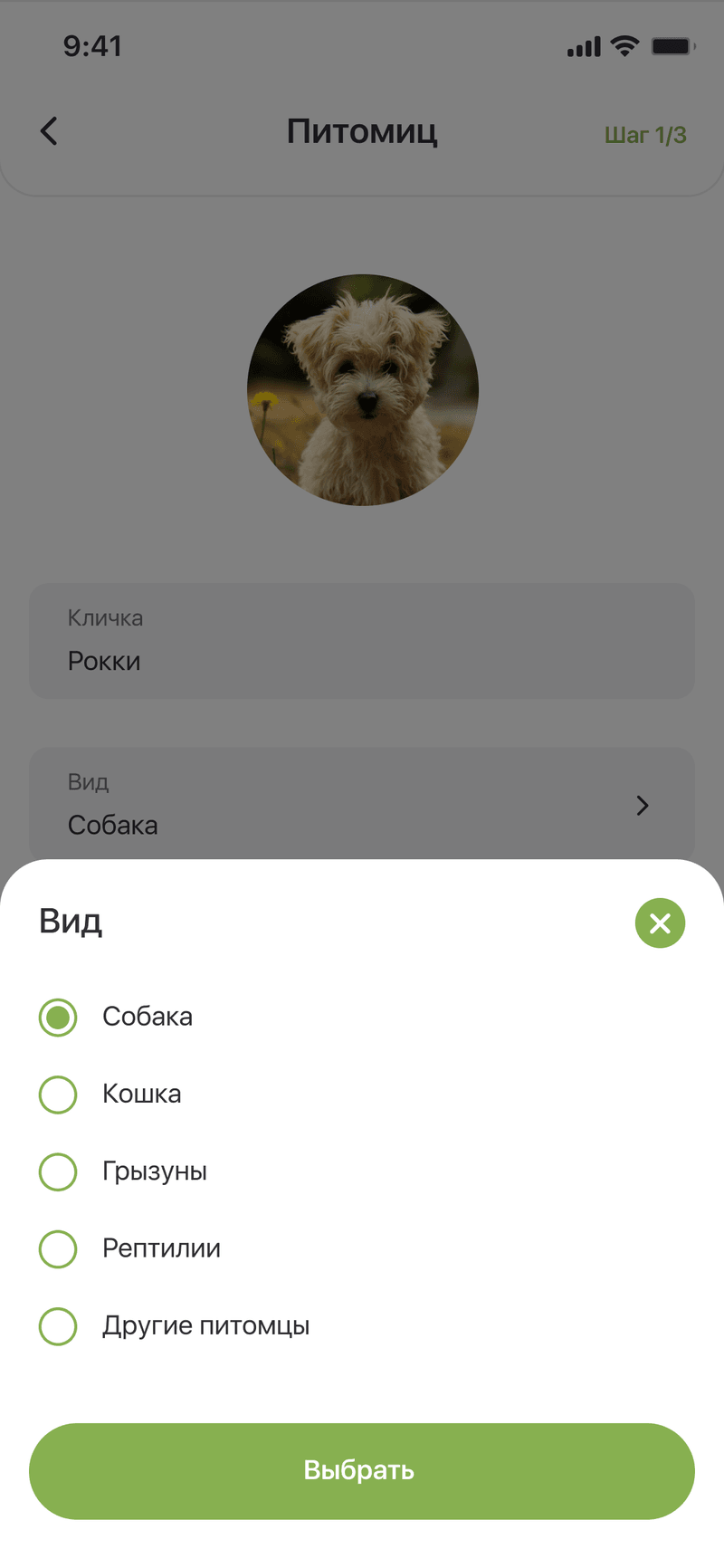 The species sheet — dog, cat, rodents, reptiles or other pets