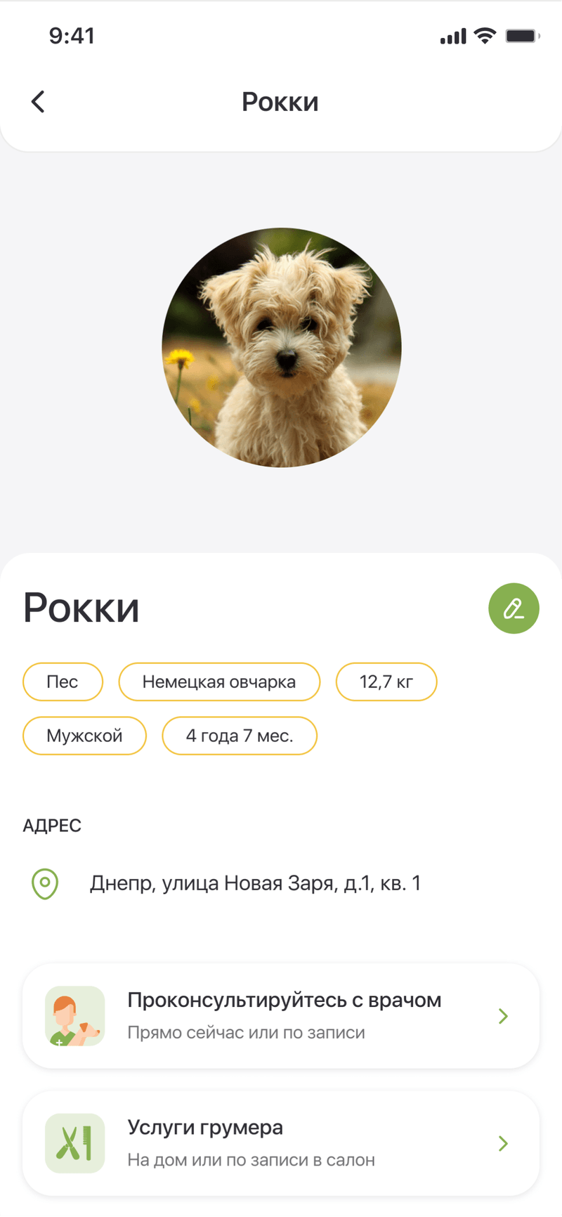 The pet profile of Rocky with services underneath