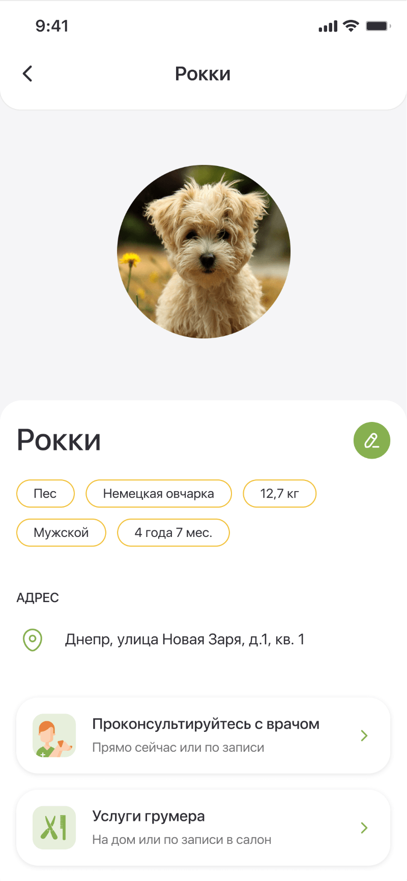 The pet profile of Rocky